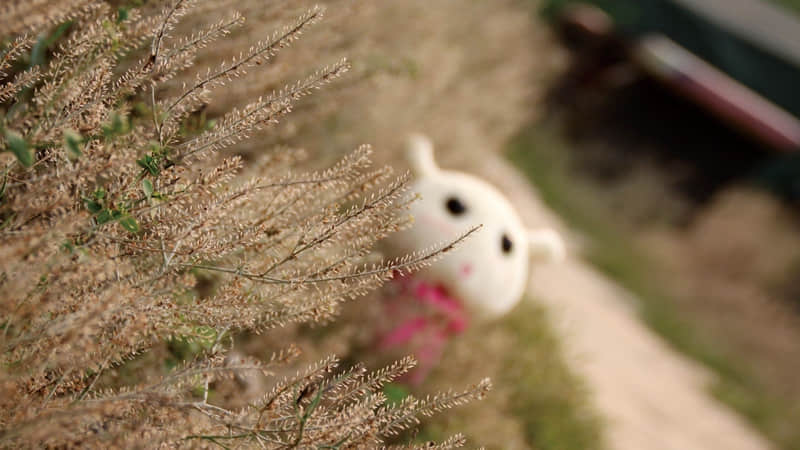 ���������Ĺ�ϵ��ι��������ֵ