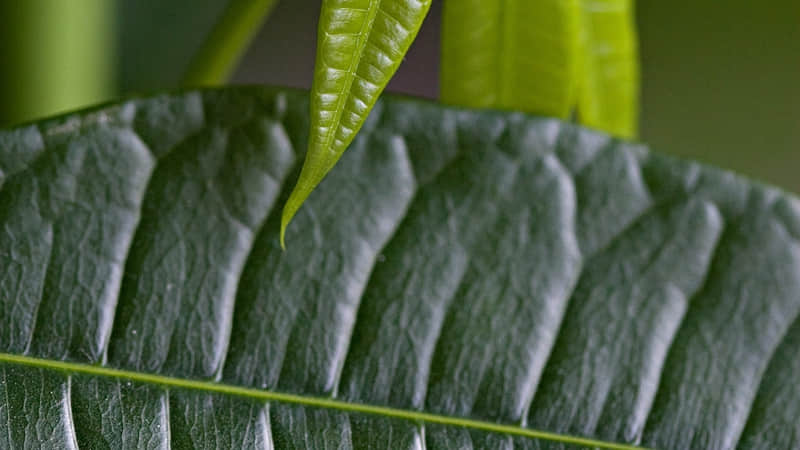 ����˯���ž���ô����Ц���������Ȧ