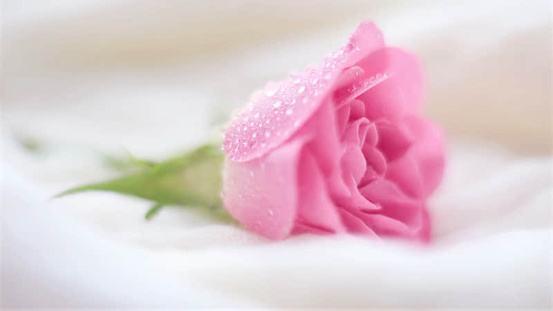 ͵͵��������һ���й�Ů��