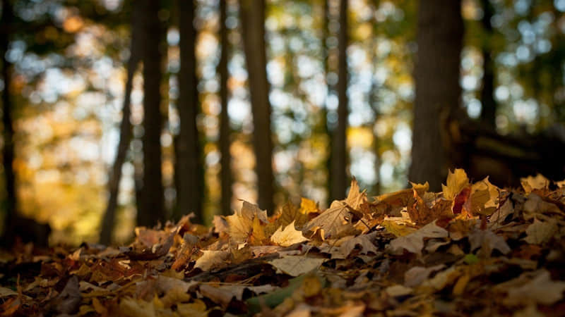 Ů��Խ���ã����˻���Ʈ