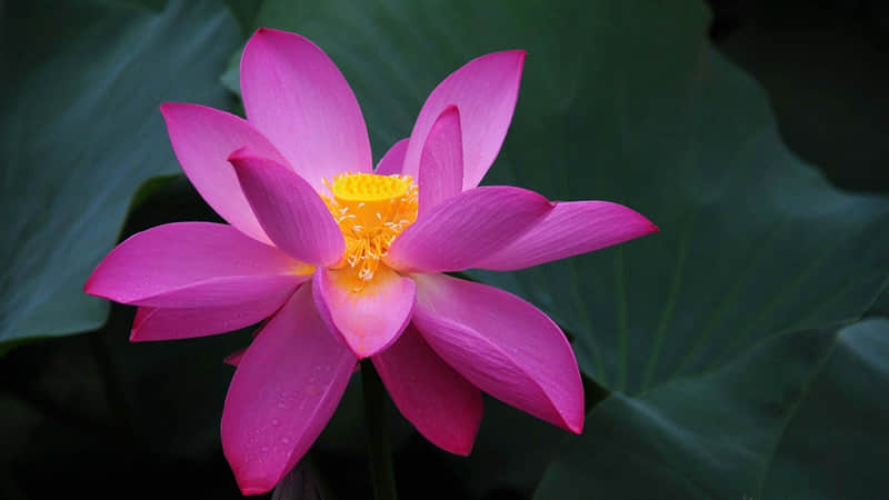 �������䣬��Ҫ��������ʧȥ��