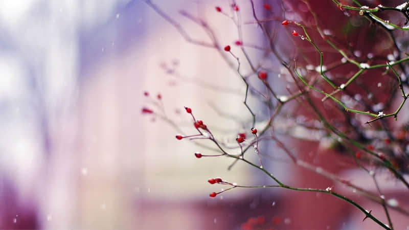 "���٣�����"??