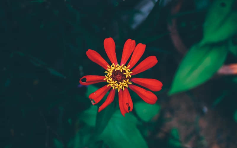 �������������Ҹ�����