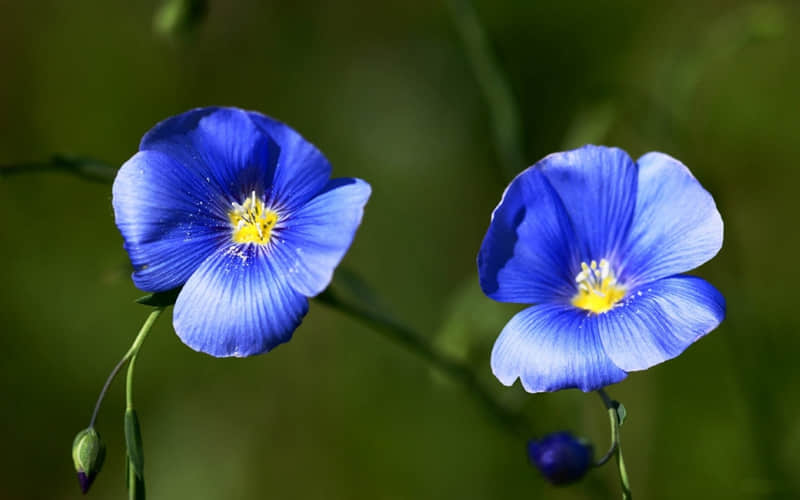 ��һ����ϵ΢���ǳ�??����������