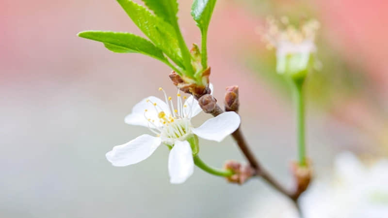 ����Ů�ˣ������ĸɾ�����