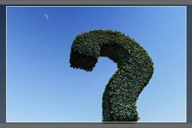 Ϊʲô�Ա�����������������ֻ������������ʲôԭ��