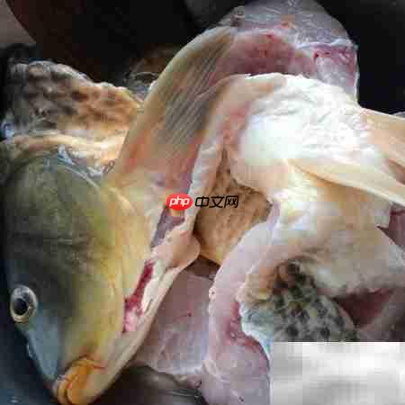 ��˳����ͷ�ݱ�����