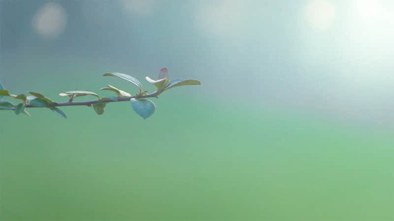 ������������ο�ˣ�˭�����㶼ϲ��