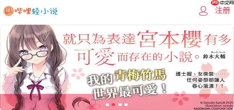 ������С˵�������