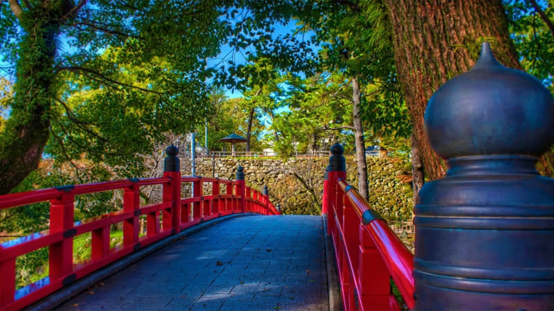 ��Խ��ô�����Է�Խ����ϵ��?????