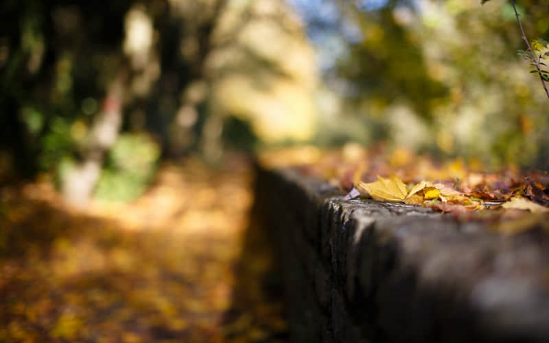 ���ʾ�����ͥ��λ