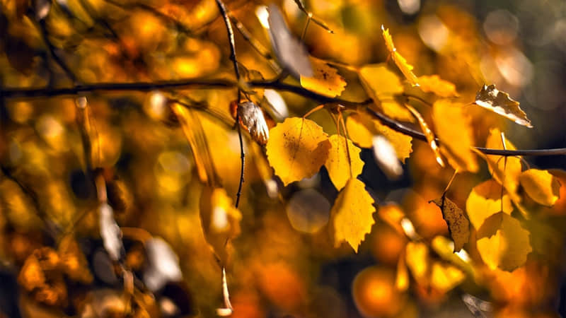 �����ղأ���Щ���۽�䣬������ִ������ͻ��̲�ס���ޣ���