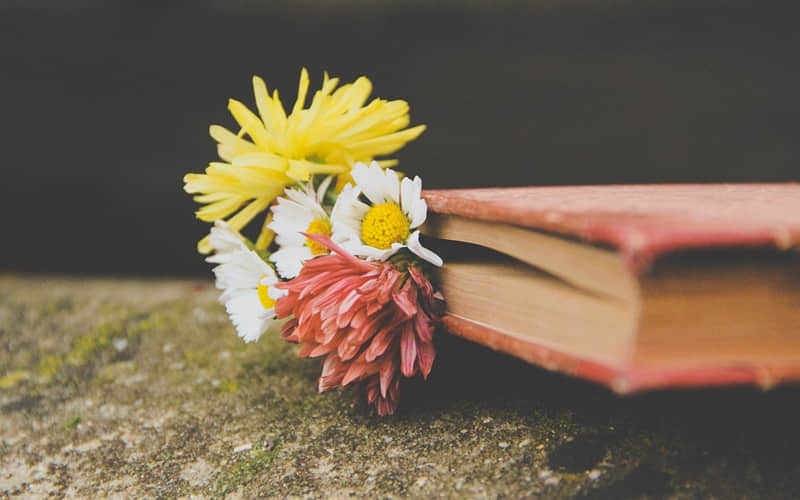 ͻȻһ�¾Ͳ������ˣ����??