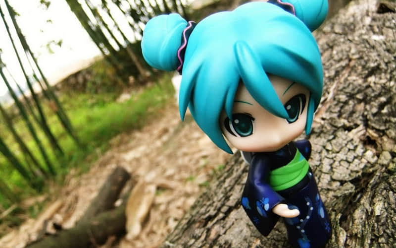 ��ҹ����������ң��������