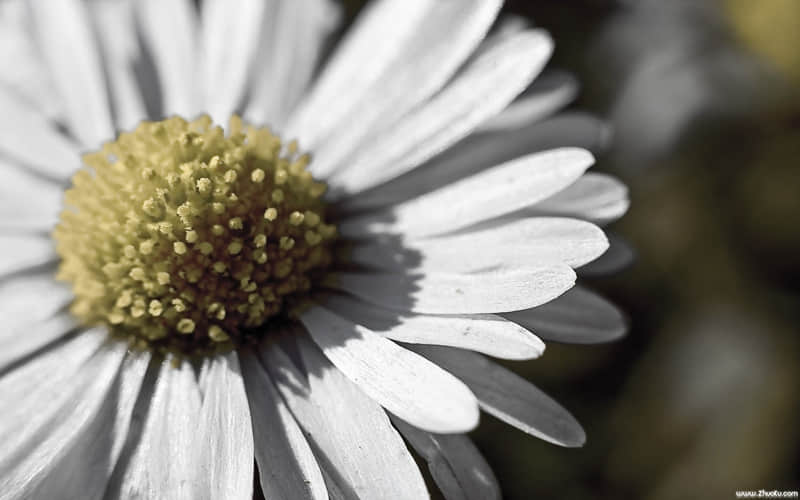 �ɾ�����ľ��ӣ����ʺϷ�����Ȧ