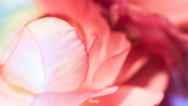 ��ĳ���ˣ���һ�䣬��Ц��??