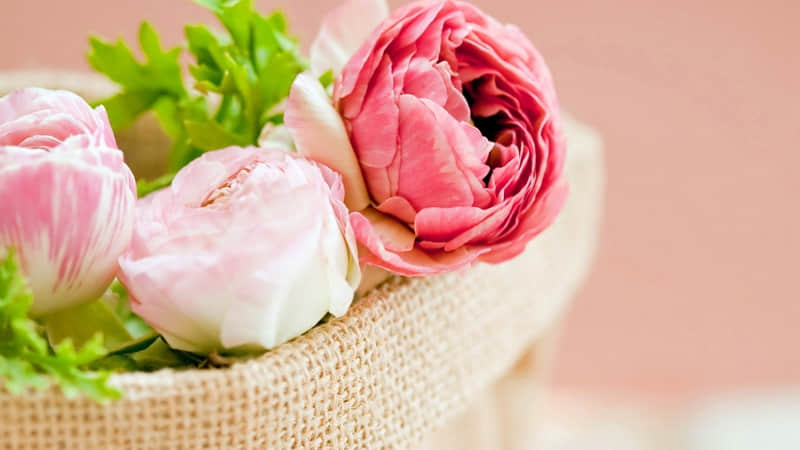 �µ�һ�죬������һ��������Ȧ�����˶ɼ�
