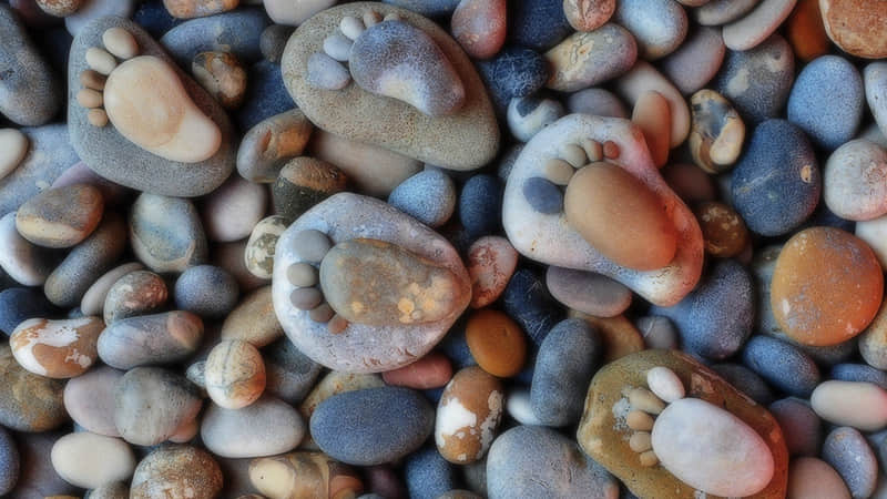 ��һ��ƫ����Ϊ΢���ö��İ�