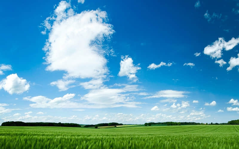 ��䲻��������䶼����������һ����Ϳ