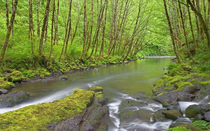 ?.?????������졫�簲����Ȧ�İ���Ԫ����������˳�⣬��������ÿһ��~