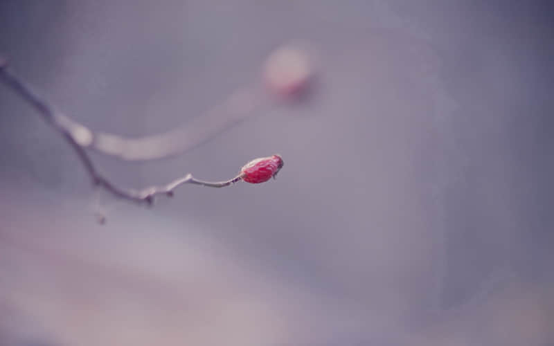 ����Ľ��ǣ�����仰������