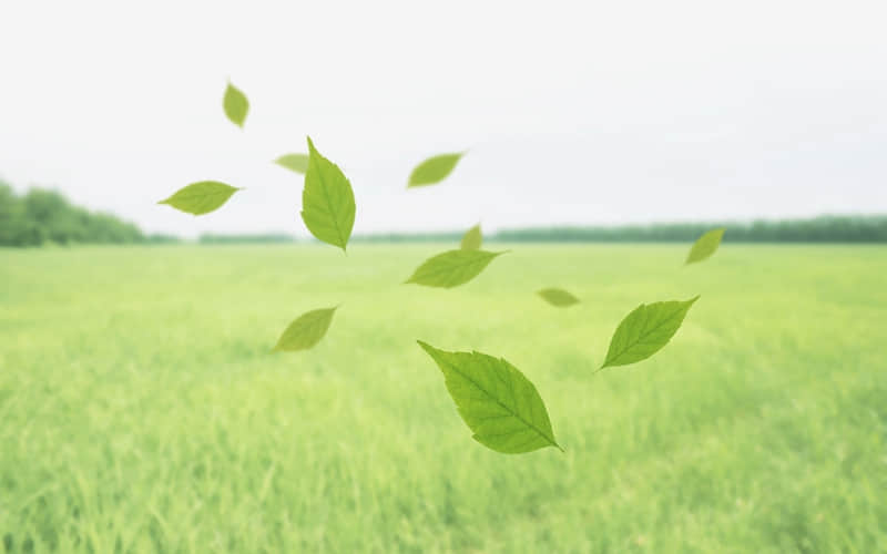 ���������������Ȧ�İ�??