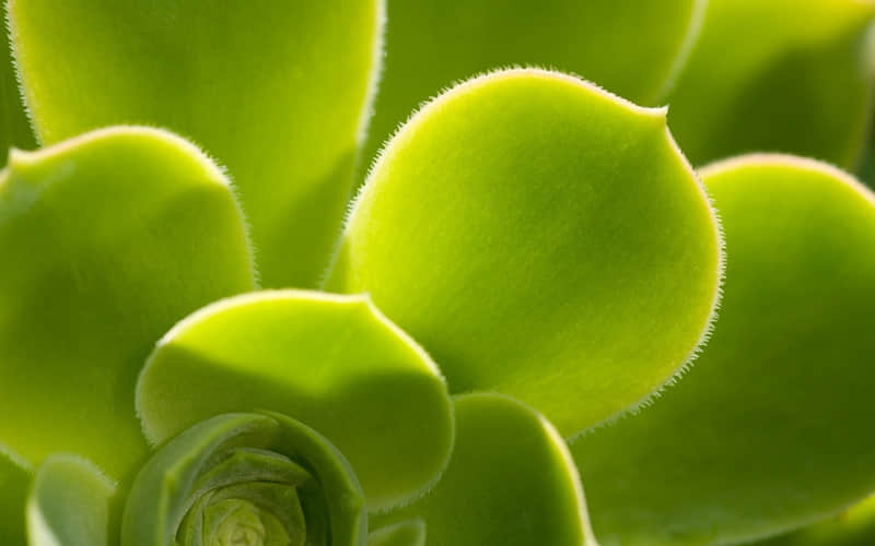 �ʺϴ��췢����Ȧ�ĸ߼��İ���̫�ио���