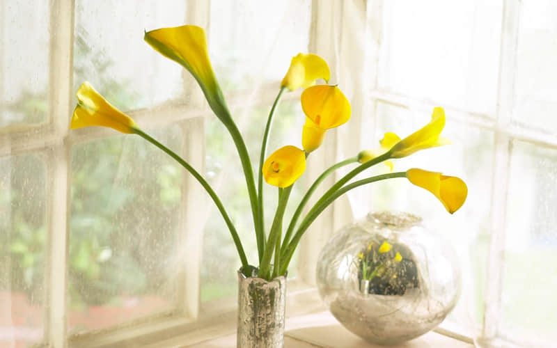 �ͷ�һ�䣬�õ�����ͷ