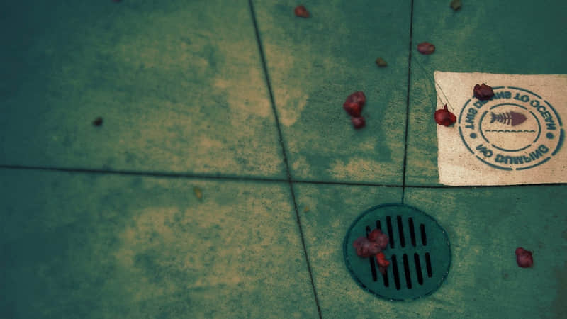 ??���㷢�ܾõ�����Ȧ�İ���̫�ио���