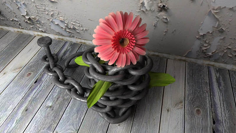 ��û��ã����Żᰮ