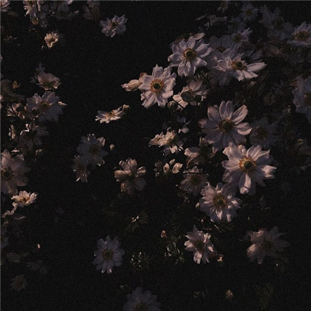 �ÿ��˸еĵ�������Ů��(��ѡ100��)