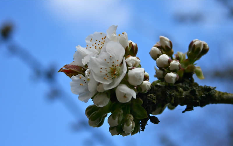 ���٣�����??�A???�@?