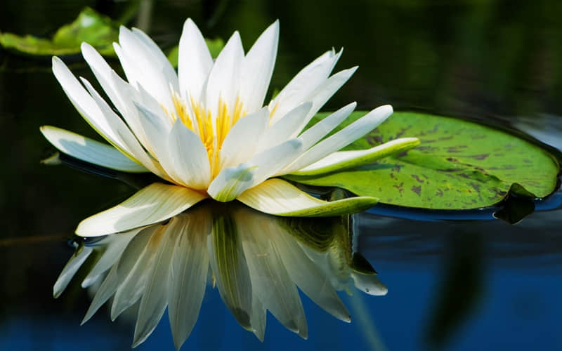 4��1�����˽�������ȥЦ������Ȧ