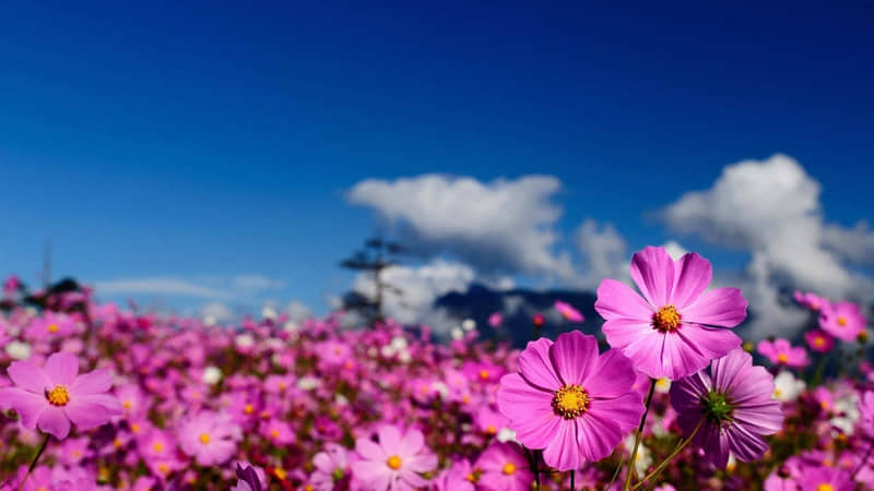 һ�����˲���ʧȥ��Ż�����10�ֱ��ֱ𲻶�