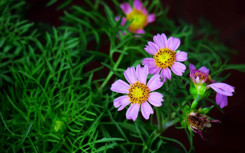 �������������İ����پ���