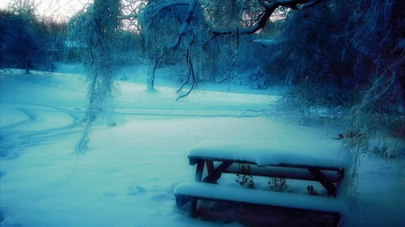 ������������ȥЦ������Ȧ