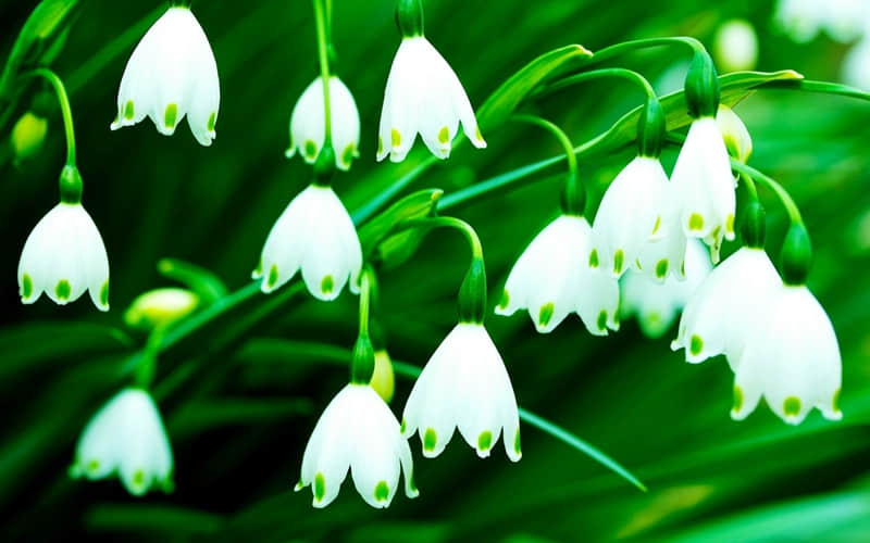 ���µ�һ�� ����Ȧһ��Ҫ������