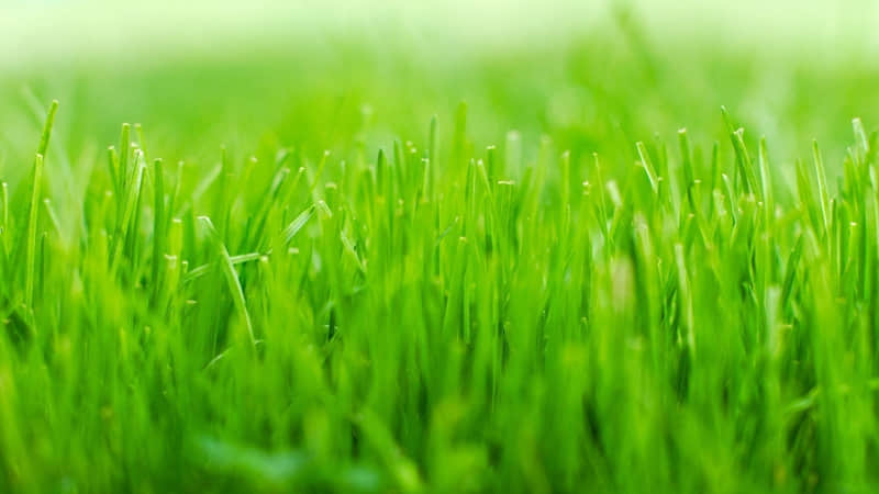 ��侭�����ܽ�