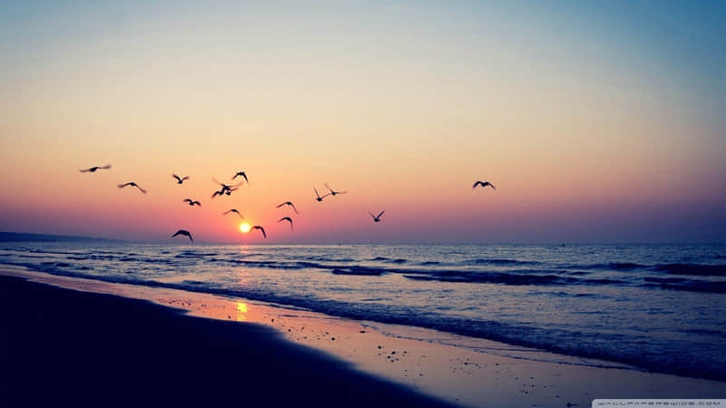 4����һ��ȥ���Լ�