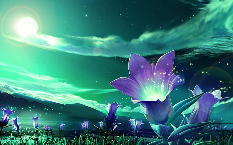 ���²�����Щ���������