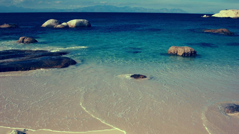 ���İ�һ��͹�