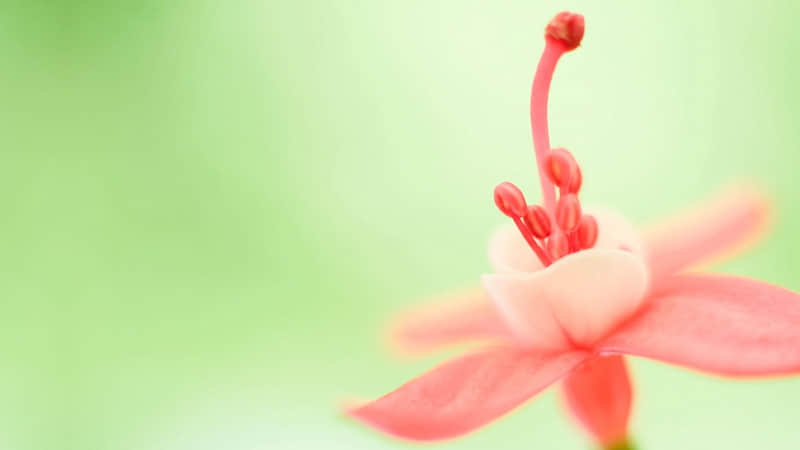 ����������Ҫ���㹣