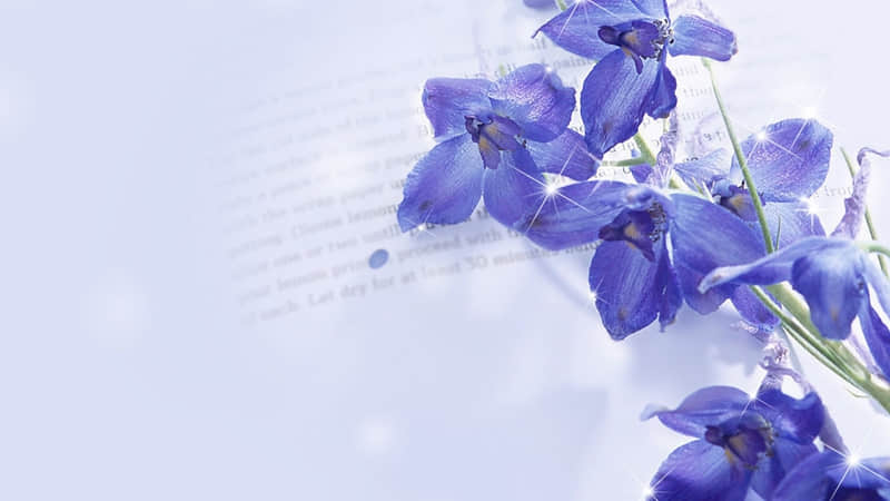 ��������ʧȥ�����Ż���ϧ��