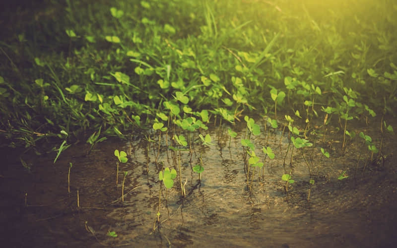 ���㲻�ҷ�������Ȧ�İ�