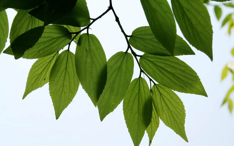 ΢���ö��̾�������ʱ