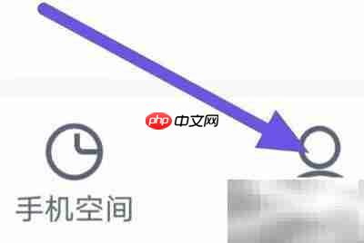 2345������Ӧ��αװ���÷���_���ۿ�