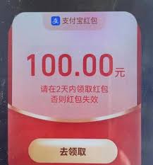 ����֧������Ƶ���100Ԫ��������-֧������Ƶ���100Ԫ�����������