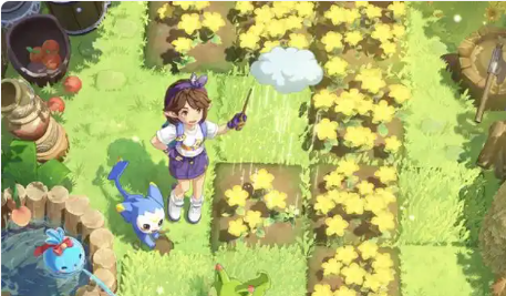 ������������ܱ����Ѷ���Ǯ����ϸ����˵�����Լ۱ȷ���