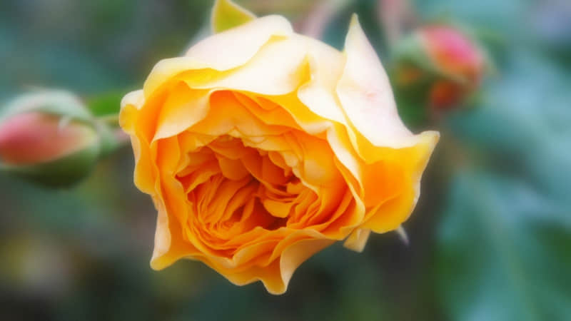 ��һ��ȥ�������������