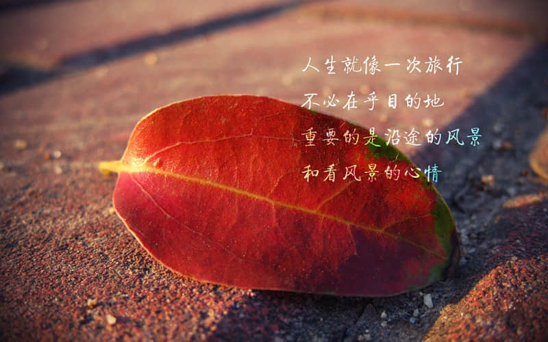 ������������ô��Ц����